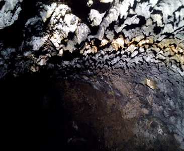 Jaskinie Teneryfy