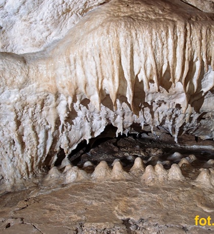 Jaskinia Naciekowa