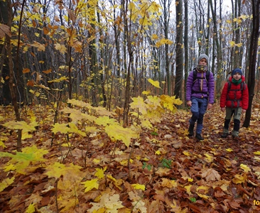 Jura Północna na długi łikend