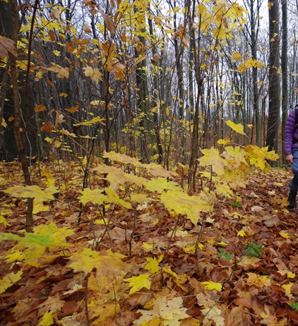 Jura Północna na długi łikend