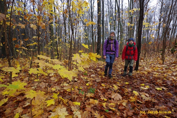 Jura Północna na długi łikend