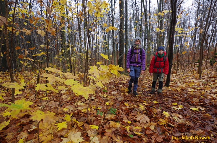 Jura Północna na długi łikend