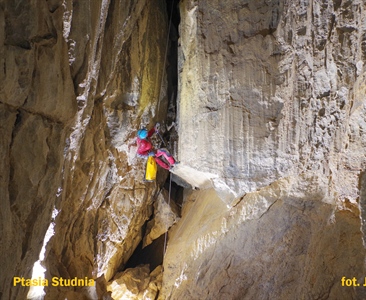 Ptasia Studnia - aktualizacja