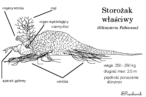 Storożaki